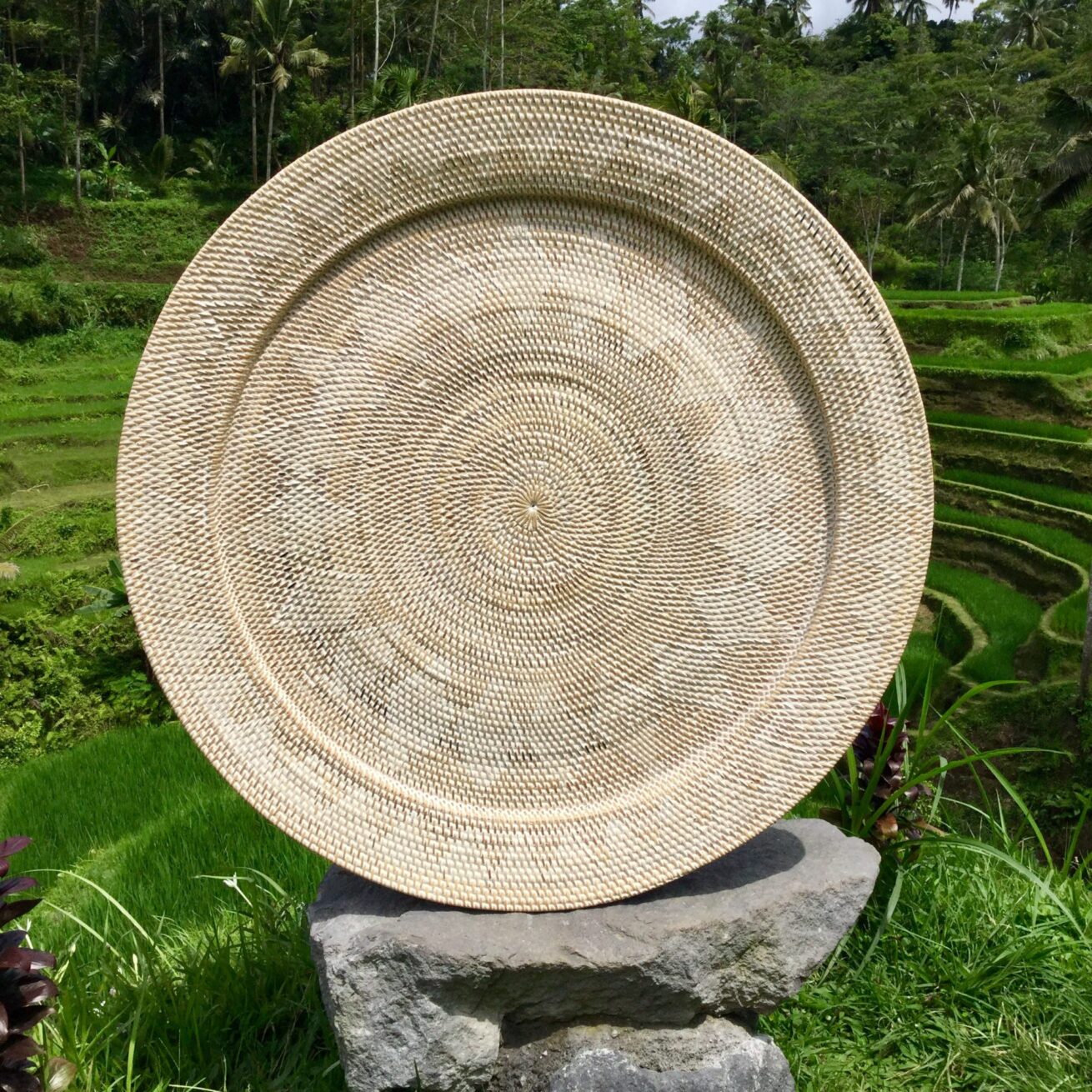 RATTAN DISK 1m