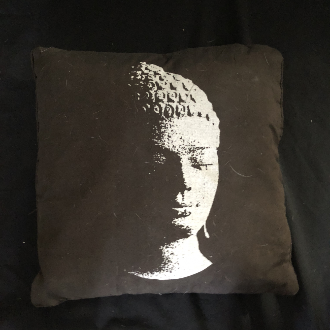 CUSHION BUDDHA 