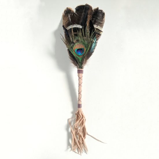 Smudging turkey and Peacock feather  