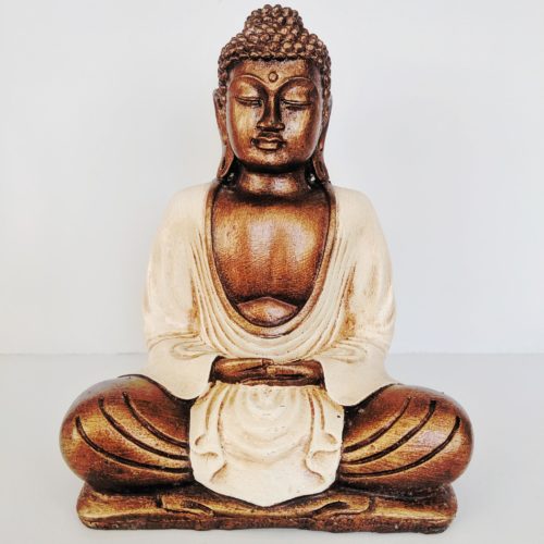 BUDDHAS & MEDITATION
