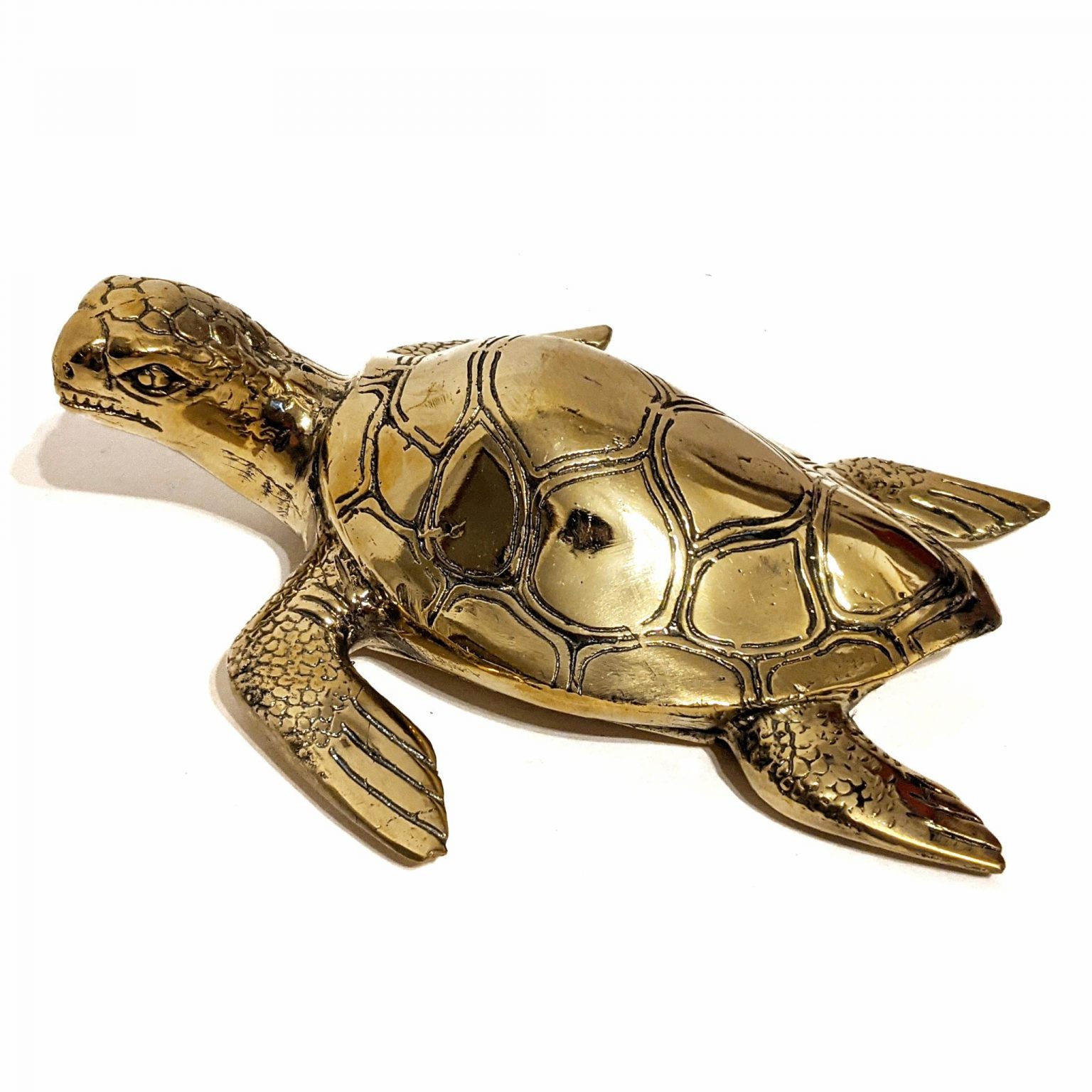 Small Brass Turtle – Jeddala Imports