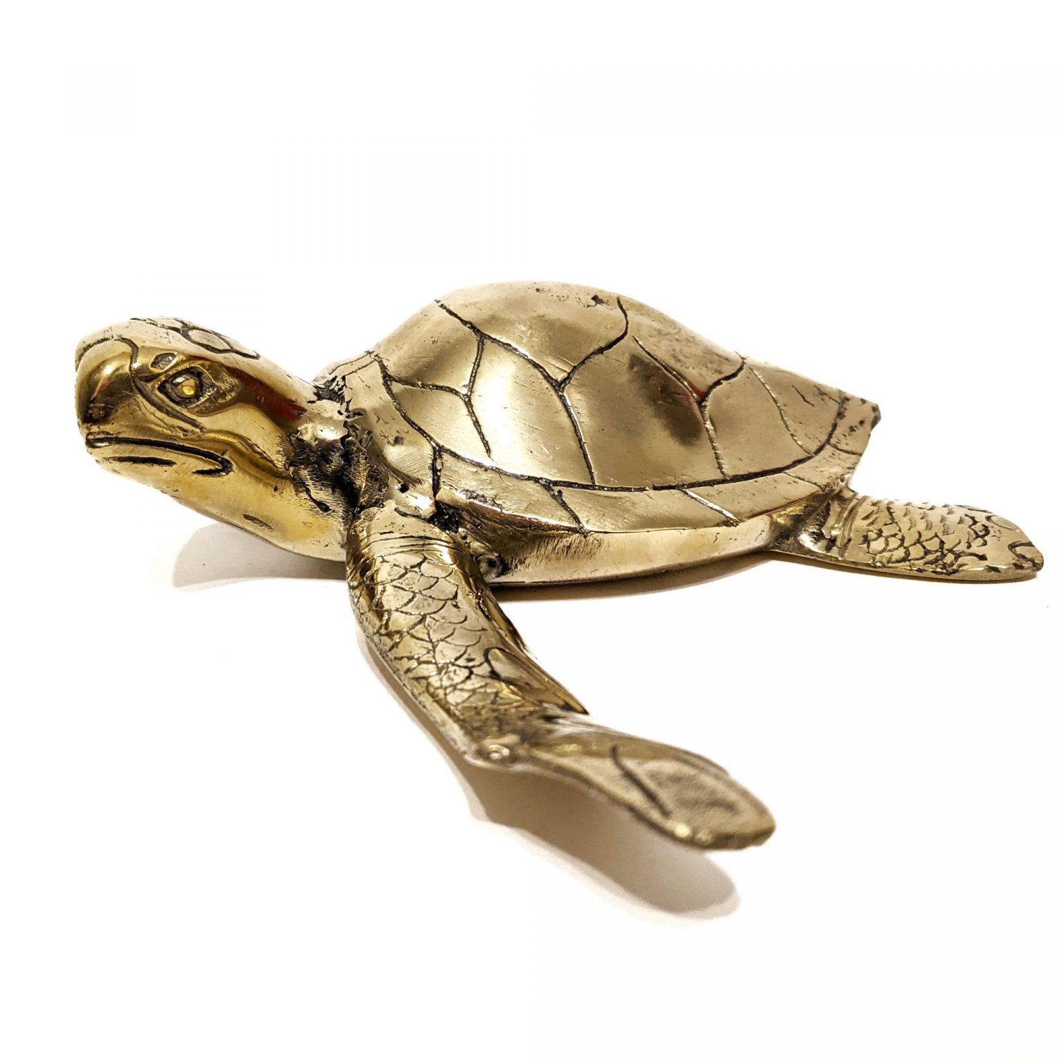 Large Brass Swimming Turtle – Jeddala Imports